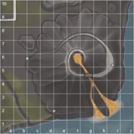 クリックすると拡大します。