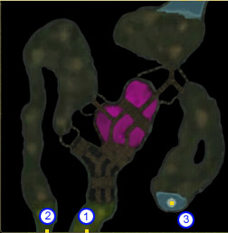 毒の湿原 毒の湿原