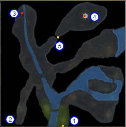 原初の森 原初の森