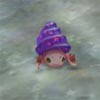 HermitCrab.jpg