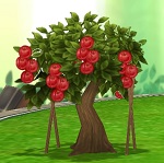 AppleTree.jpg