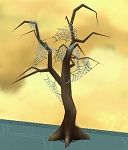 Spider_tree.jpg