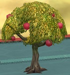 apple_tree.jpg