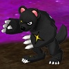 DarkBear.jpg