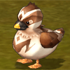 WildDuck.png
